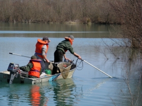 I recuperi di luccio - RISERVA   CARMAGNOLA